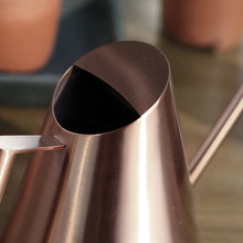 Load image into Gallery viewer, Bronze Stainless Steel Long Spout Watering Can
