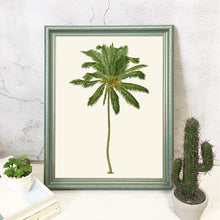 Load image into Gallery viewer, Vintage Tropical Palm Tree print #5
