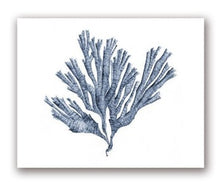 Load image into Gallery viewer, Blue Coral Print #6
