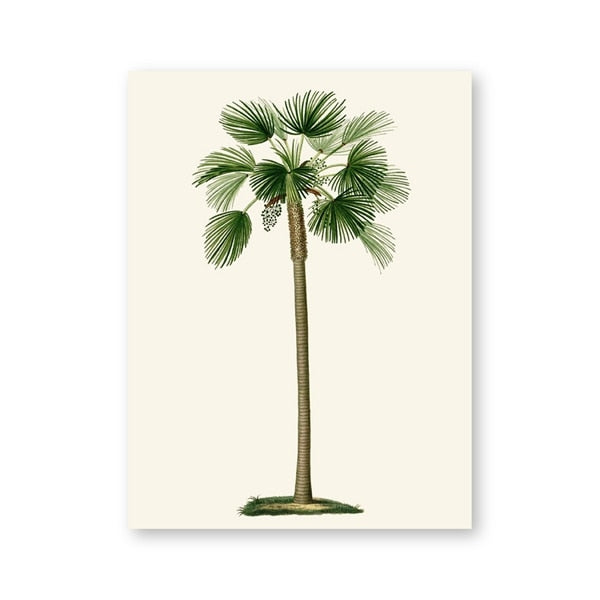 Vintage Tropical Palm Tree Print #1