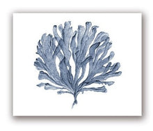 Load image into Gallery viewer, Blue Coral Print #4
