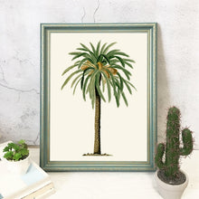 Load image into Gallery viewer, Vintage Tropical Palm Tree Print #4
