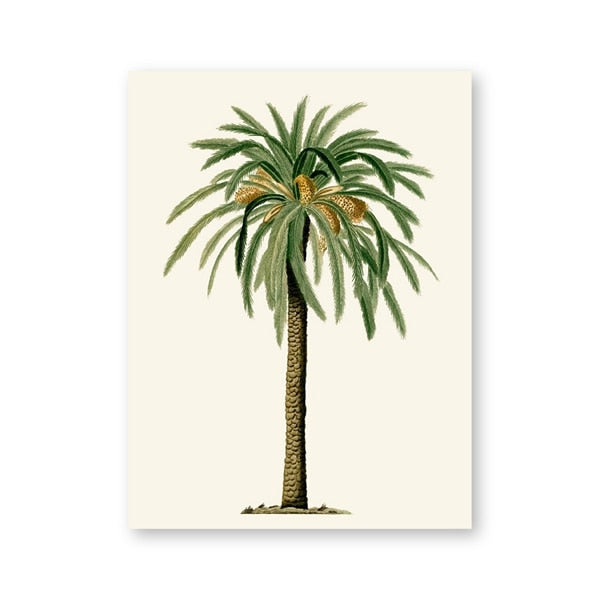 Vintage Tropical Palm Tree Print #4