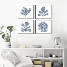 Load image into Gallery viewer, Blue Coral Print #7

