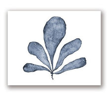 Load image into Gallery viewer, Blue Coral Print #7
